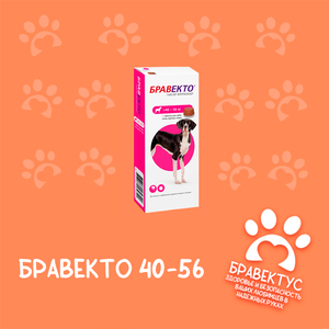 Бравекто 40-56 кг. (1 табл/уп) (БЕЗ ПЛОМБ)
