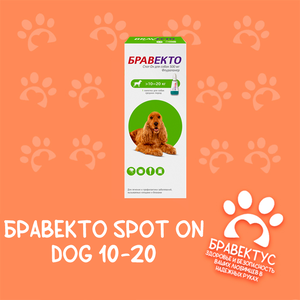 Бравекто Spot on dog 10-20 кг. (капли) Австрия