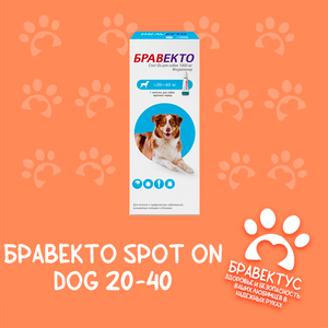 Бравекто Spot on dog 20-40 кг. (капли) Австрия