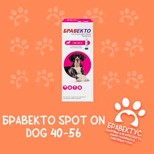 Бравекто Spot on dog 40-56 кг. (капли) Австрия