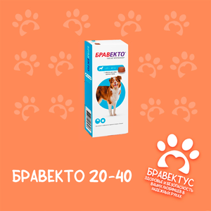 Бравекто 20-40 кг. (1 табл/уп) (БЕЗ ПЛОМБ)